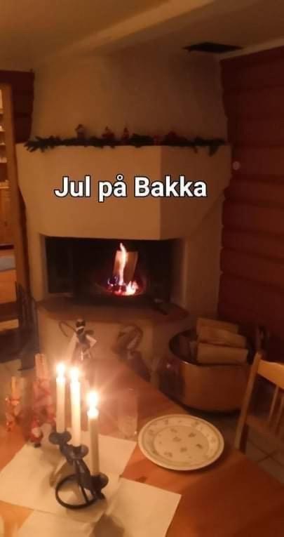 Bakka Villa Hovin Eksteriør bilde